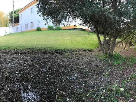Swimgold Holiday home